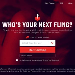 Flingster - top Sex Chat Sites